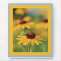 Black-Eyed Susans Mousepad