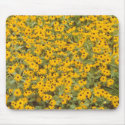 Black Eyed Susans Mousepad by Captain_Panama Black Eyed Susans Mousepad