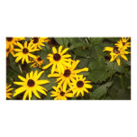 Black Eyed Susans Photo Greeting Card