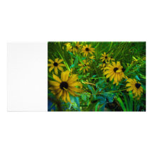 Black-Eyed Susans Picture Card