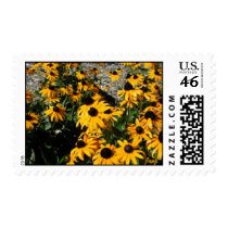 Black Eyed Susans postage by Just_For_Mom Black Eyed Susans postage