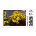 Black eyed Susans postage