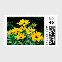 Black Eyed Susans Postage stamps