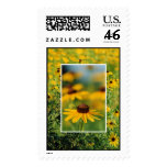 Black-Eyed Susans Postage Stamp