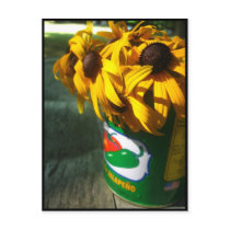 black eyed susans postcards by breelash black eyed susans postcards