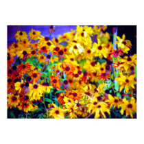 black-eyed susans posters