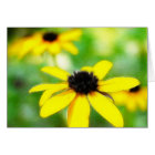 Black Eyed Susans - Romantic and Dreamy card