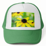 Black Eyed Susans - Romantic and Dreamy Mesh Hat