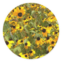 Black-Eyed Susans stickers