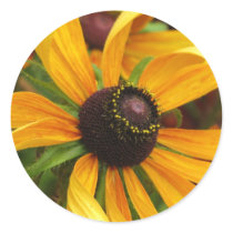 Black Eyed Susans Sticker by ggbythebay Black Eyed Susans Sticker