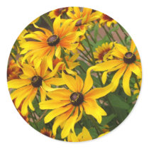 Black Eyed Susans stickers