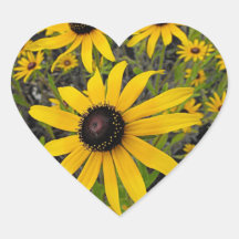 Black Eyed Susans Sticker