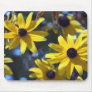 Black Eyed Susans usepad