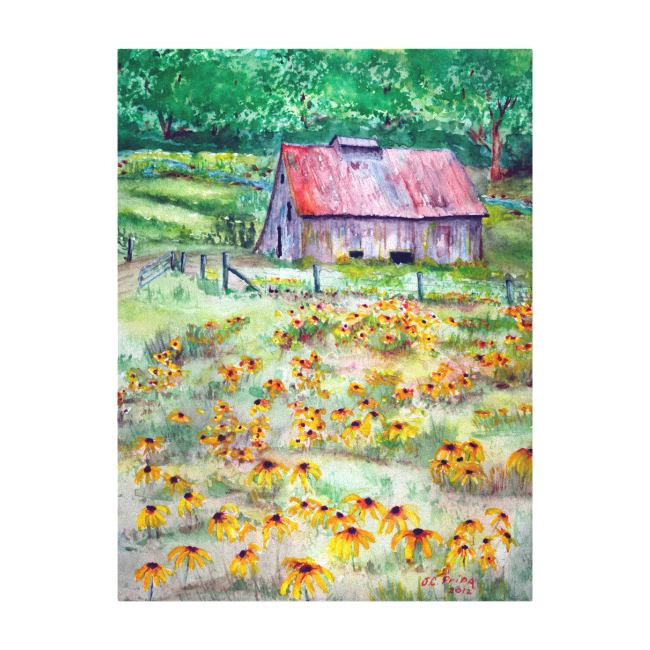 Black-Eyed Susans Wildflower Barn Watercolor Gallery Wrap Canvas