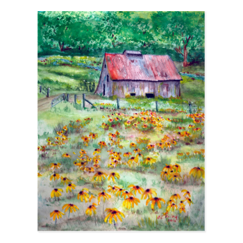Black-Eyed Susans Wildflower Barn Watercolor Post Card