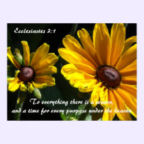 Black Eyed Susans With Scripture Verse posters
