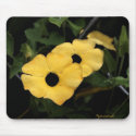 Black Eyes Mousepad