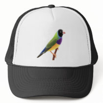 Black Faced Gouldian Finch Hats