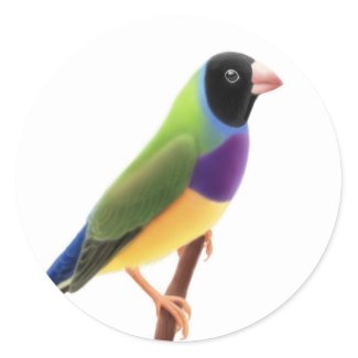 Black Faced Gouldian Finch Round Stickers
