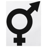 black fe-male icon flyers