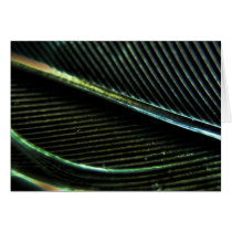 Black Feather card cards