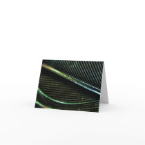 Black Feather note card cards