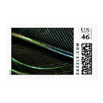 Black Feather postage stamps stamps
