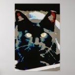 Black feral poster posters