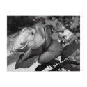Black Flower postcards by Poker_Face Black Flower postcards