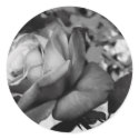 Black Flower stickers by Poker_Face Black Flower stickers