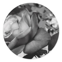 Black Flower stickers by Poker_Face Black Flower stickers