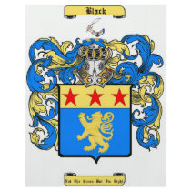 black flyers by tdzsdz black flyers
