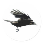 BLACK FLYING CROW Sticker Series