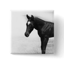 Black Foal Button