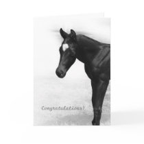 Black Foal Greeting Card