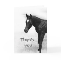 Black Foal Cards
