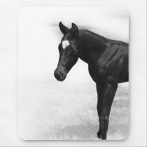 Black Foal Mousepads