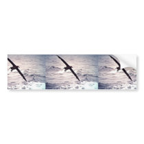 Black-footed albatross in flight bumper sticker