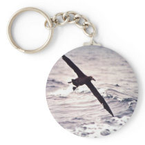 Black-footed albatross in flight key chains