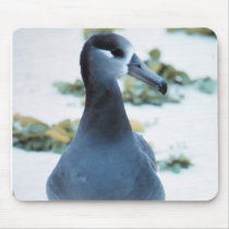 Black footed Albatross Mousepad
