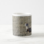 Black-Footed Ferret Coffee Mugs