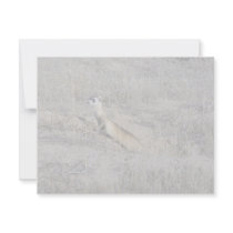 Black-Footed Ferret invitations