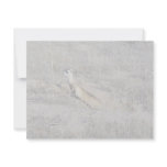 Black-Footed Ferret Invite