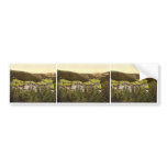 Black Forest from Grossehrz Luisenruhe, Baden, Ger Bumper Sticker
