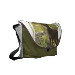 Black Fox Messenger Bag