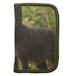 Black Fox Wallet Folio