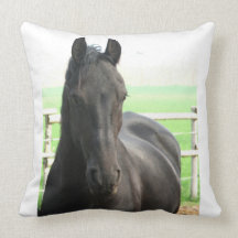 Black Friesian Horse Pillow