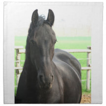 Black Friesian Horse Set of Four Napkins