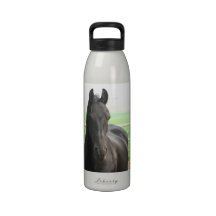 Black Friesian Horse Water Bottle
