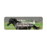 Black Galloping Colt Return Address Label
